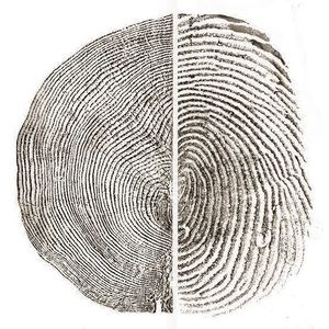 Meet your Posher, Genevieve